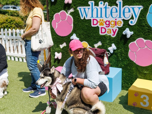 Whiteley Shopping Centre's annual doggie day proved popular with countless pups in attendance.