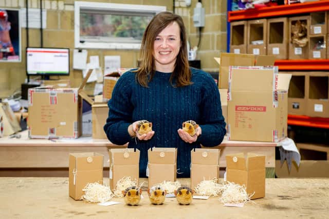 Alex Davison set up a small business selling pompom "hedgehugs" and has raised £1,500 for the NHS and The British Hedgehog Preservation Society
Picture: Habibur Rahman