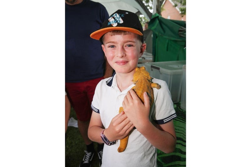 Oscar Vaughan age 9 holds a bearded Dragon on the Portsmouth reptile and amphibian society stand.
Picture: Stuart Martin (220421-7042)