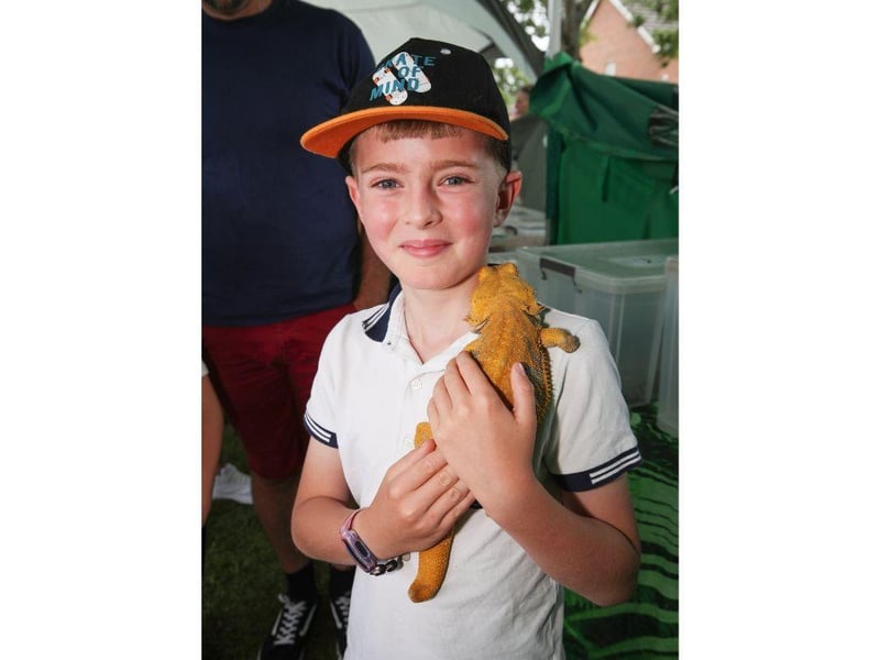 Oscar Vaughan age 9 holds a bearded Dragon on the Portsmouth reptile and amphibian society stand.
Picture: Stuart Martin (220421-7042)