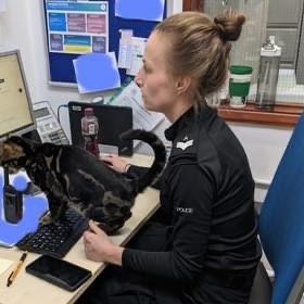 Tilly the cat was a regular visitor to Gosport Police Station.