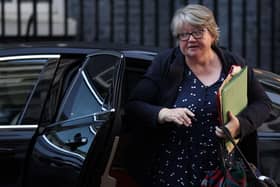 Britain's Health Secretary and deputy Prime Minister Therese Coffey. Picture: Isabel Infantes/AFP via Getty Images