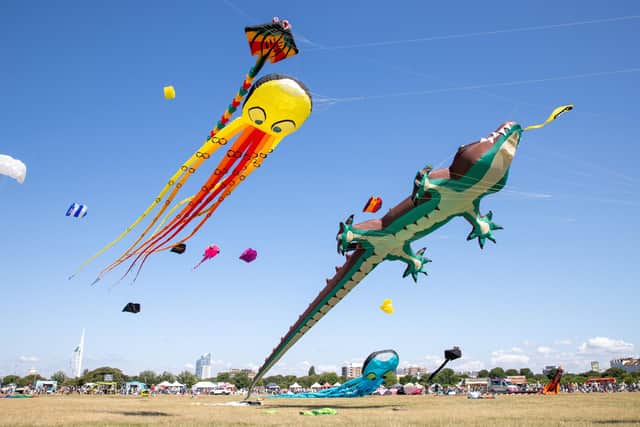 Pictured - Incredible kites on display at the Portsmouth Kite FestivalPhotos by Alex Shute