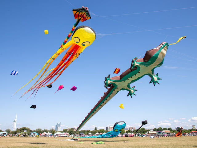 Pictured - Incredible kites on display at the Portsmouth Kite FestivalPhotos by Alex Shute