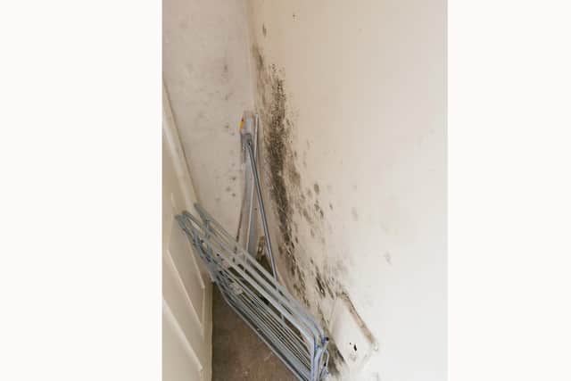 Mould on the walls from the water damage.