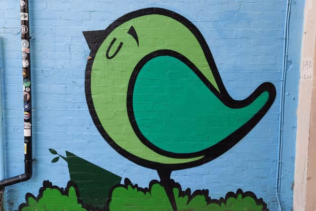 One of Farkfk's birds, on Albert Road, Southsea