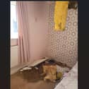 Hayley Hilton, who lives in the Gosport residence, said the lack of urgency from responsible agency's was 'disgusting'.