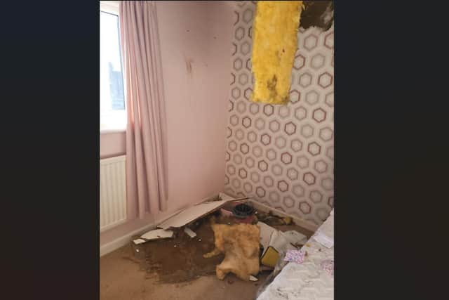 Hayley Hilton, who lives in the Gosport residence, said the lack of urgency from responsible agency's was 'disgusting'.