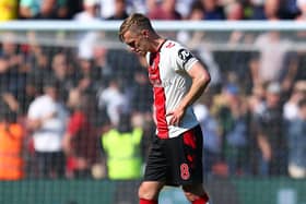Pompey fans have had their say on Southampton's relegation.