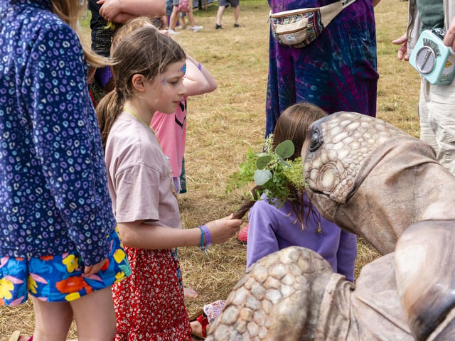 There was lots of different types of entertainment at Wickham Festival