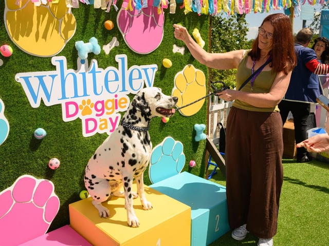 Melanie Tanner with her dog Nelson.Picture: Keith Woodland (250521-85)