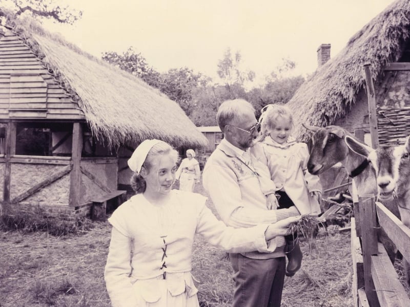 Visitors feed the goats at Grange Farm in Gosport, May 16 1993. The News PP3307