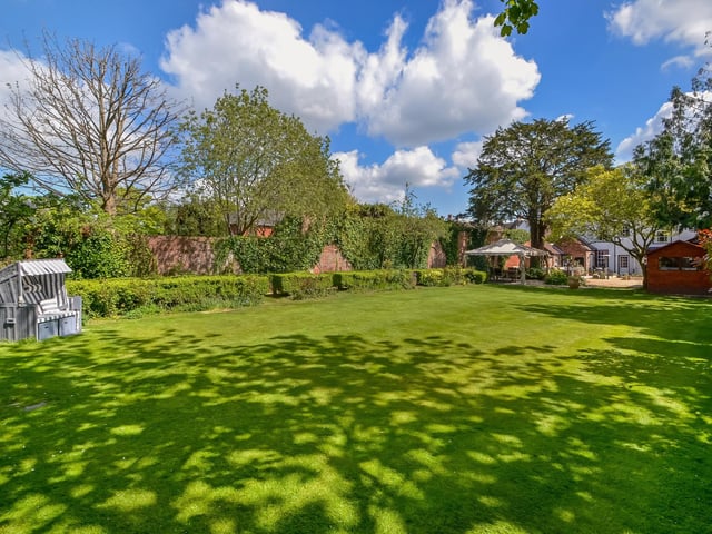 The garden