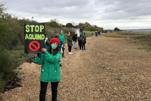 Eastney resident Lynne Harvey joined the protest against Aquind Ltd's cable plans. Picture: Richard Lemmer