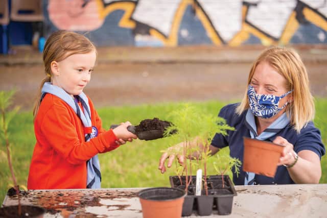 The new programme will encourage fun and curiosity. Picture: Martyn Milner