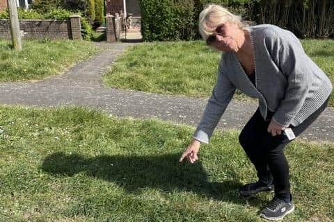 Karen Pervin pointing at where the refused dropped kerb would be built. Image: LDRs