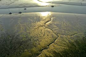 Solent mudflats. Picture: Mark Cox