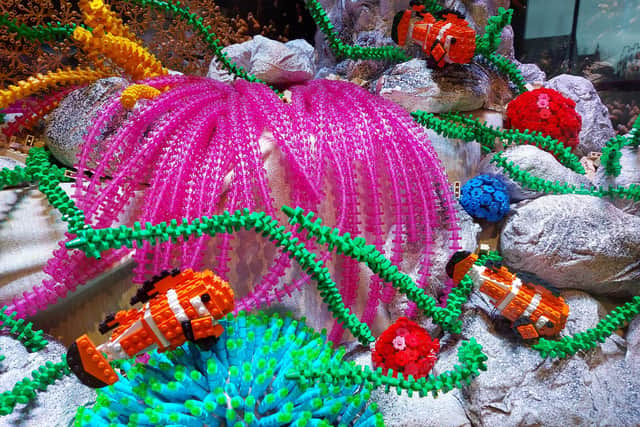Up close with the Great Barrier Reef, recreated in Lego as part of the Brick Wonders exhibition. Picture by Chris Broom