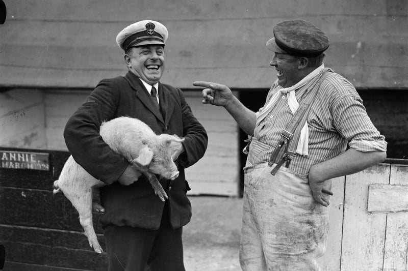 August 1927:  Annie the pig doesn't see the joke being shared by a sailor and a mate at the pig farm run by the navy, at HMS Excellent, Whale Island, Portsmouth, where they also have their own zoo.