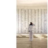 AB Sean 'Buster' Brown salutes the men of the USS Arizona.