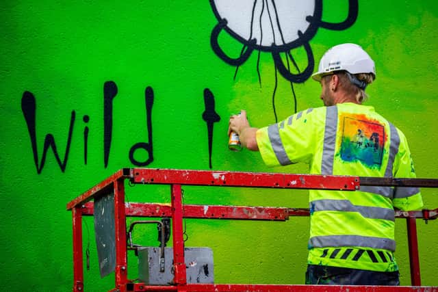 Artist My Dog Sighs, painting a new mural on the Portsmouth Carers building in Francis Avenue, Southsea, on behalf of Wilder Portsmouth on September 28. Picture: Habibur Rahman