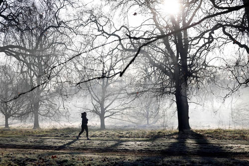 A jogger runs to exercise in a frost-covered Hyde Park in London. 