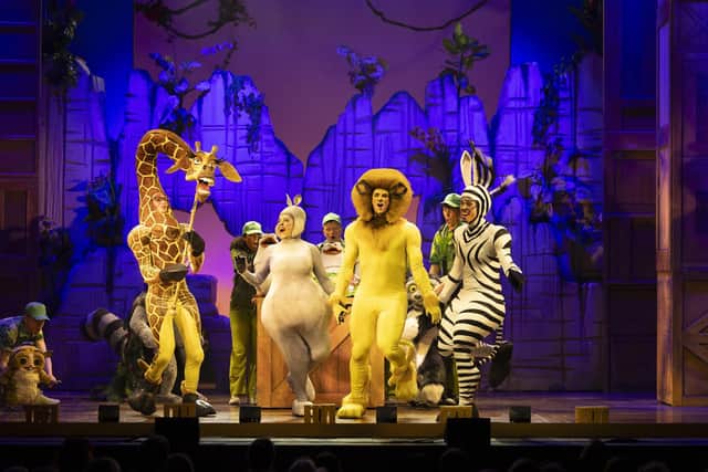 Madagascar the Musical is at Mayflower Theatre from August 21-24