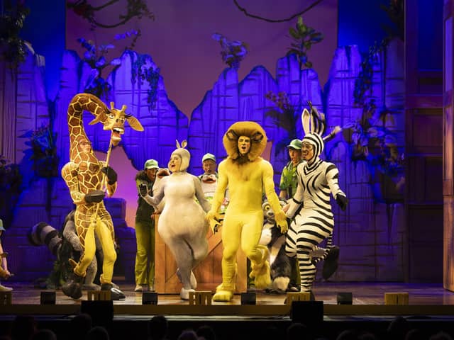 Madagascar the Musical is at Mayflower Theatre from August 21-24