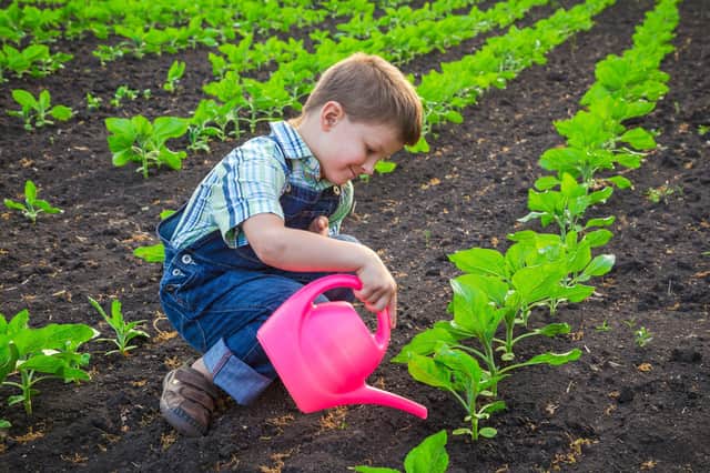 If you're subtle you can get children to enjoy gardening and even eat the produce. Picture: Shutterstock