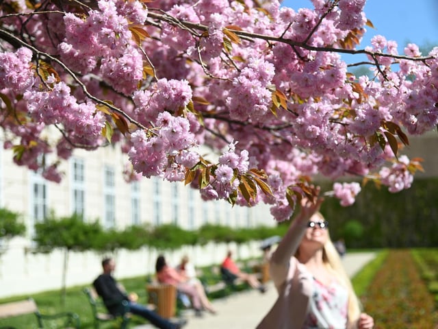 Salzburg in Austria is another place you can fly to from Southampton Airport this summer.