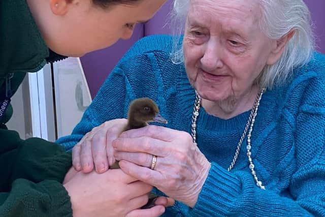 The chicks delighted the residents