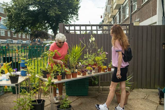 The Play and Plants event held by Portsmouth City Council to share plans for the Horatia and Leamington Houses sitePC