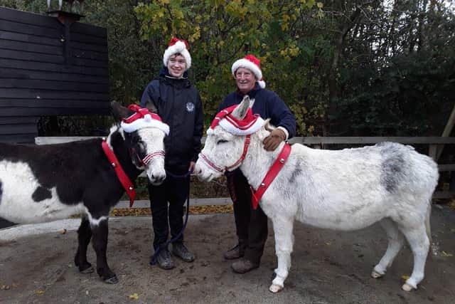 From left: volunteers Ben Parker and Phill Upshall with donkeys Tucker and Bertie.