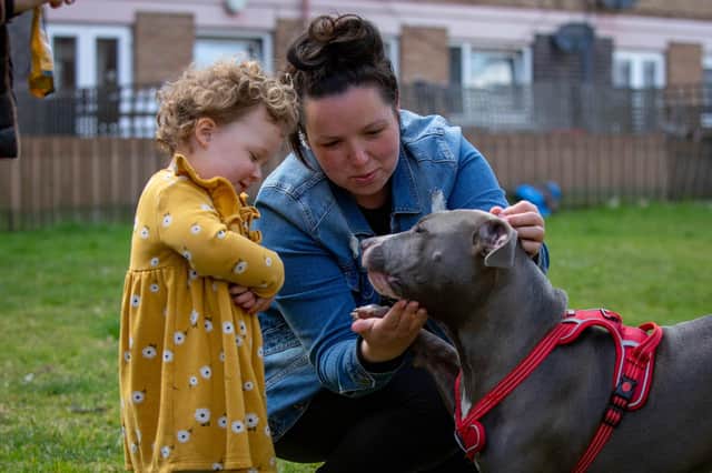 Leah Bates and her daughter Ada, two, with Tyson the dog near their home in Somerstown
Picture: Habibur Rahman