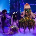 Who is Mushroom on The Masked Singer?