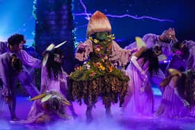 Who is Mushroom on The Masked Singer?