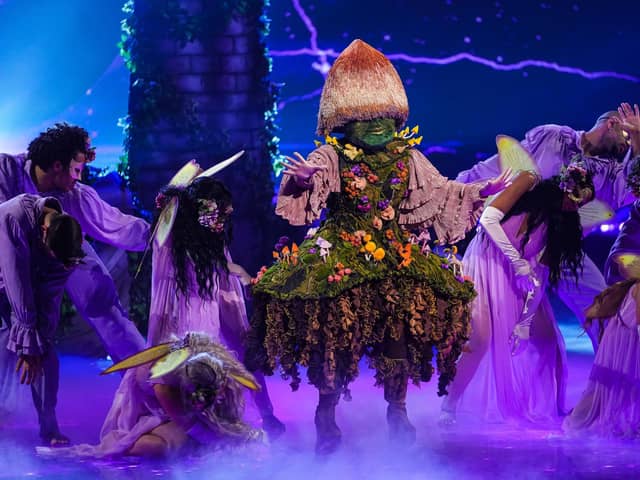 Who is Mushroom on The Masked Singer?