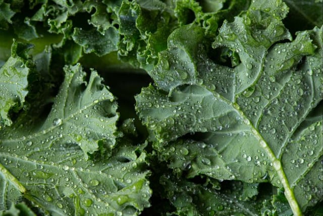 It has been seven weeks since the average person in the UK last consumed kale, according to the survey.