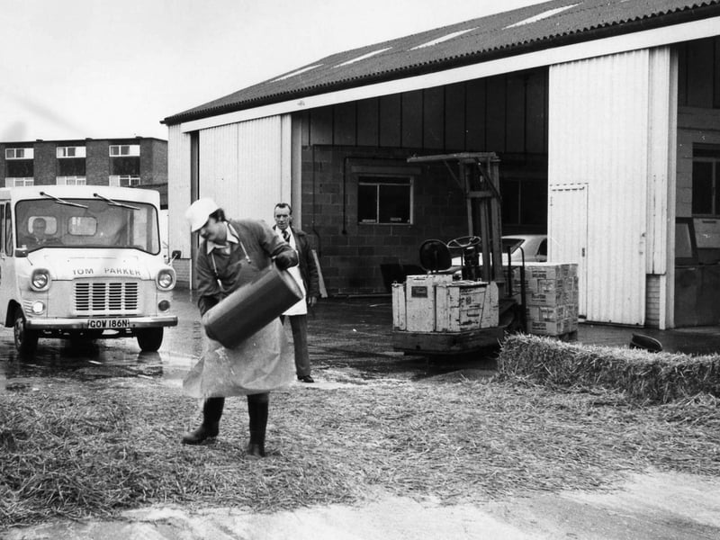 Tom Parker Dairies in Fareham take precautions after spread of foot and mouth disease in March 1981. The News PP385