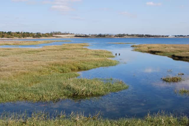 Farlington Marsh. Picture: Hampshire and Isle of Wight Wildlife Trust