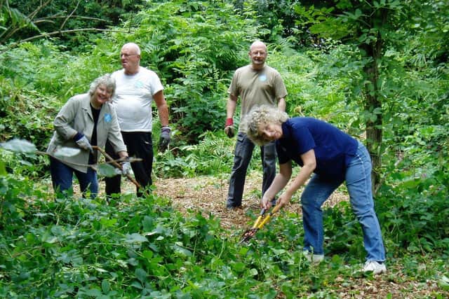 Friends of Park Wood at work