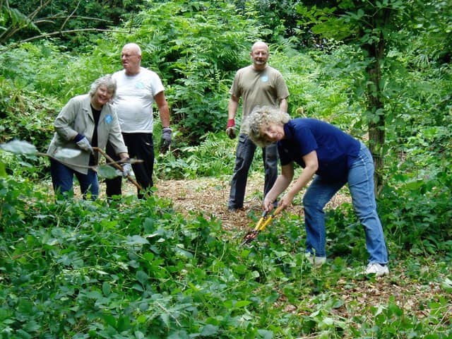 Friends of Park Wood at work