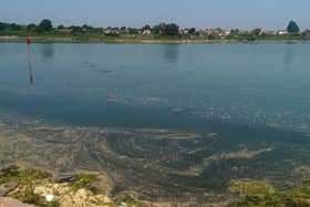 Scum foam at Langstone Harbour, in Eastney, after a previous discharge. 