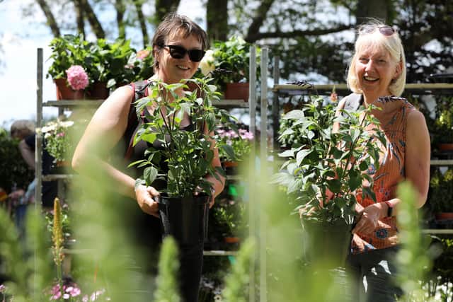 Alison Hartland, left, and Sue Green were pleased to find the last pair of Salvia Amistads, one each. Garden Show at Stansted park, Rowlands Castle
Picture: Chris Moorhouse (jpns 120621-40)