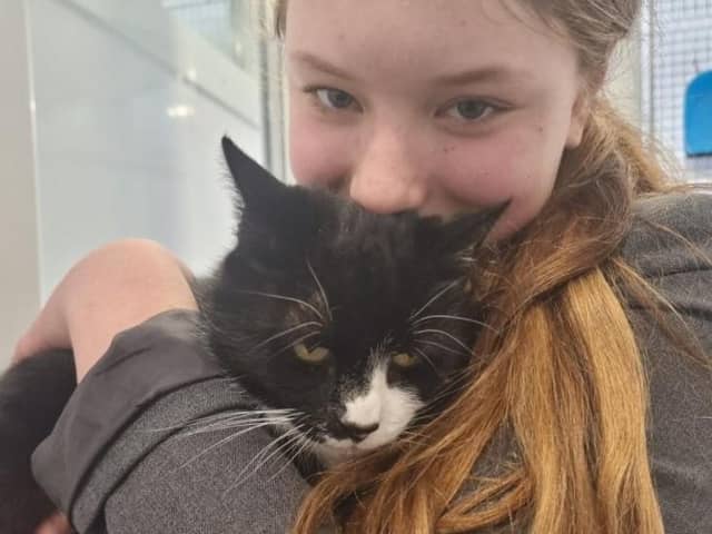 Millie the cat has been reunited with her Clanfield family after six years. Pic Supplied