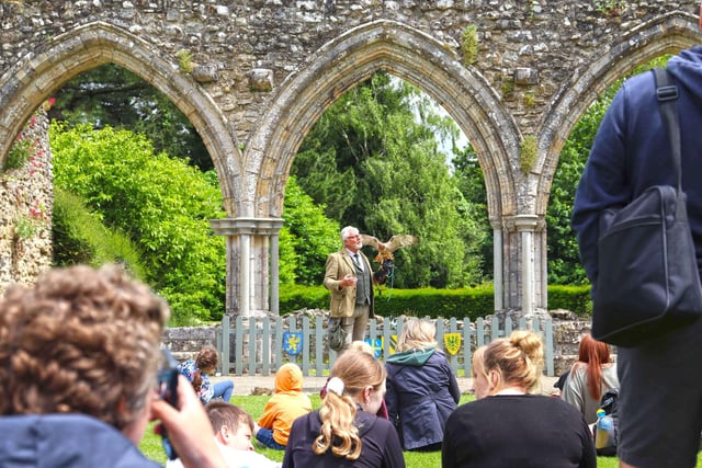 Watch falconry at Beaulieu this May half-term