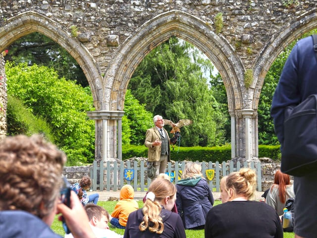Watch falconry at Beaulieu this May half-term