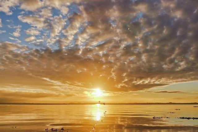 Magical. Beautiful sunrise over Langstone Harbour taken by Vicky Stovell