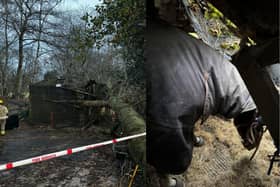 Firefighters rescued two horses after a tree fell on top of a stables in Liphook. 
Picture: Hampshire and Isle of Wight Fire and Rescue Service