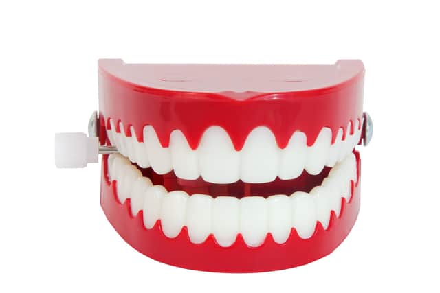 A set of comedy false teeth was reported lost in the Gosport Travelodge
Picture: Adobe Stock